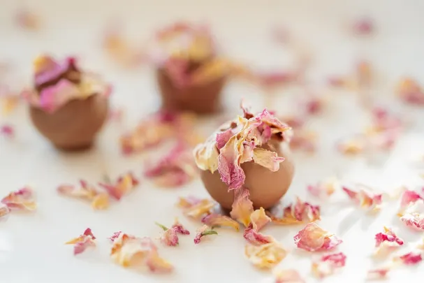 カジノ ベガス スピンズ Android/iOS アプリ